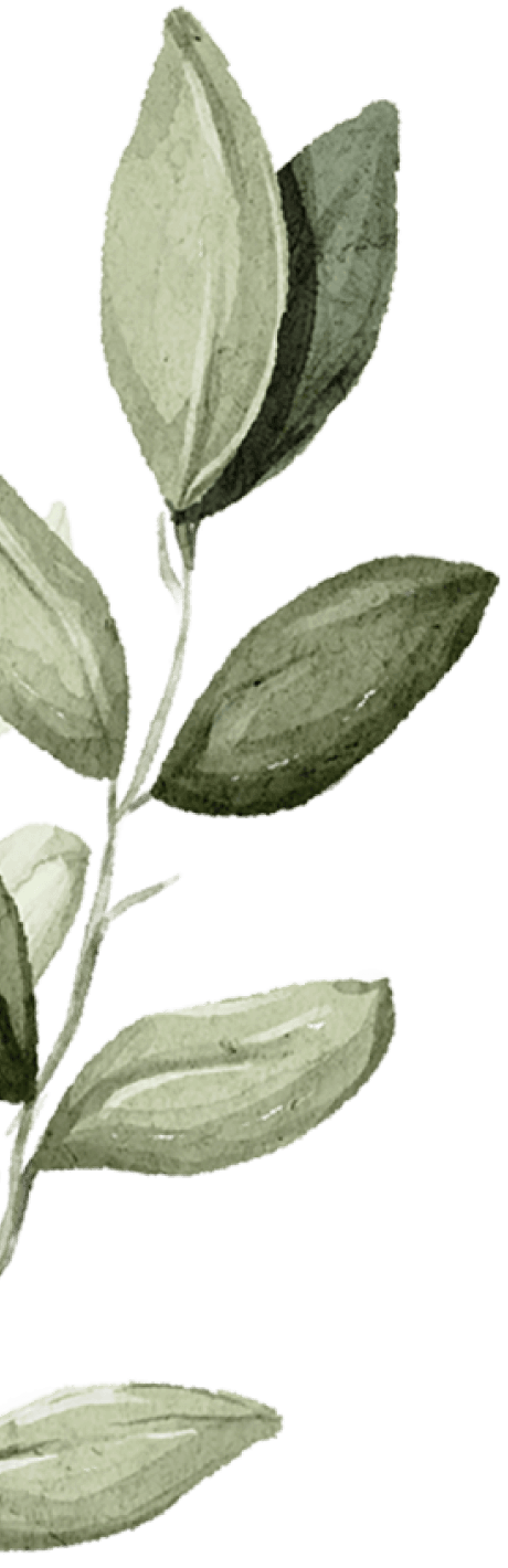 Lescarret-Paysage Vertheuil