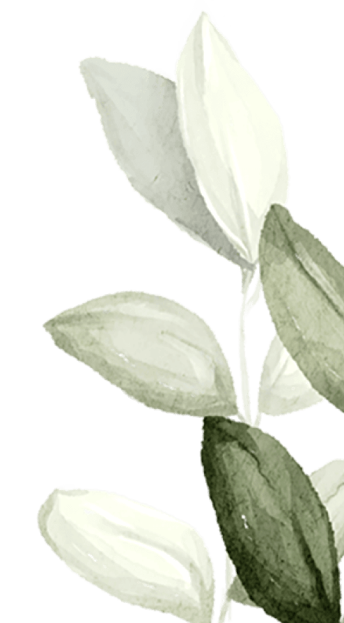 Lescarret-Paysage Vertheuil